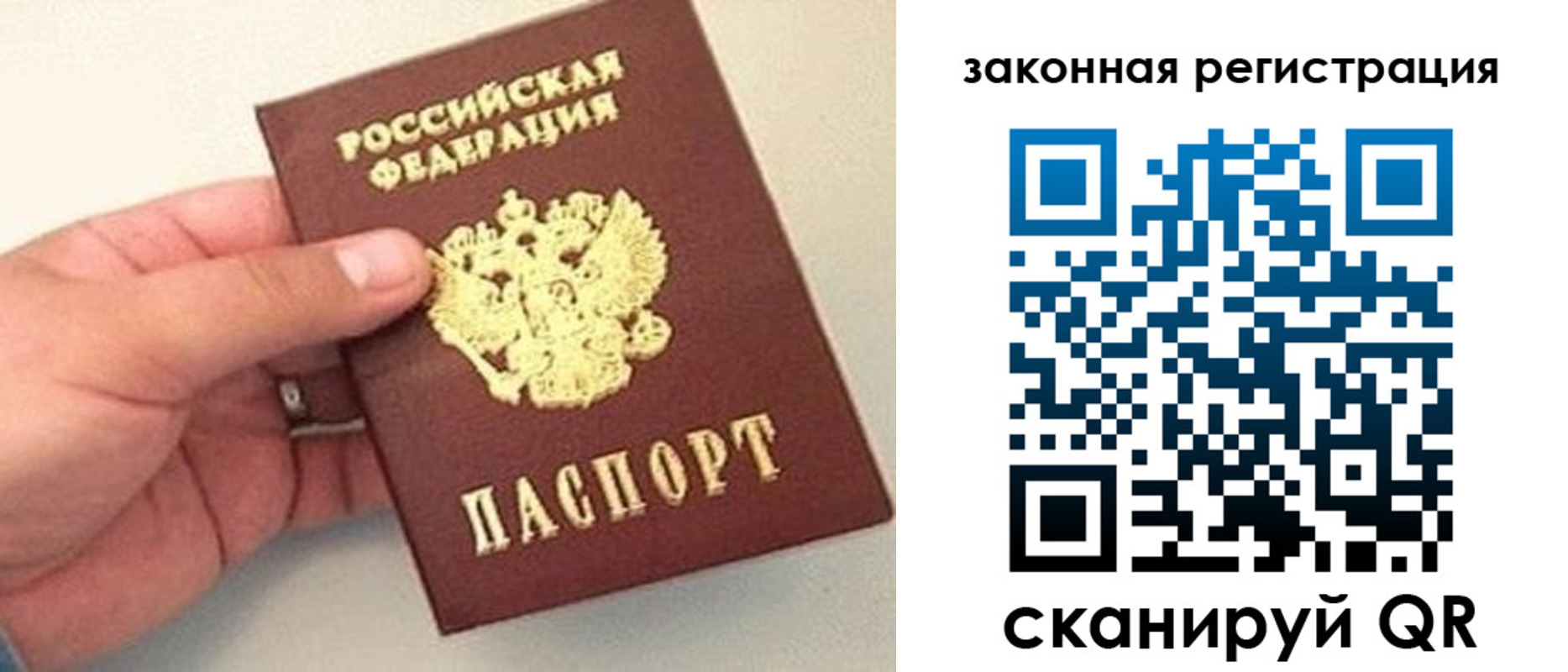 прописка для школы в Кольчугино
